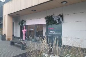 Eleven Flowers Studio