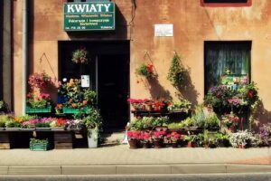 Elżbieta. Kwiaciarnia