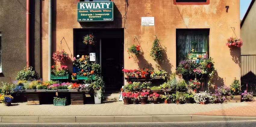 Elżbieta. Kwiaciarnia