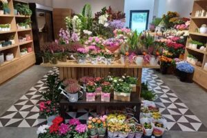 Family Flowers Zalasewo