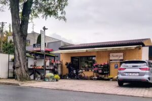 Fantazja. Kwiaciarnia