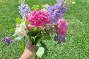 Farma kwiatowa mój_mały_Eden