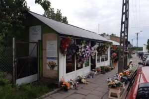 Finezja. Ignatowicz M.