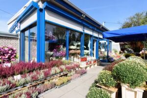 Firma H. Skrzydlewska