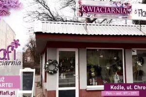 Flafi – kwiaciarnia