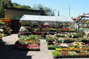 Flora. Sklep ogrodniczy