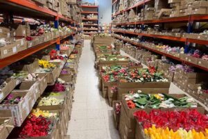 Florbank Hurtownia Florysty