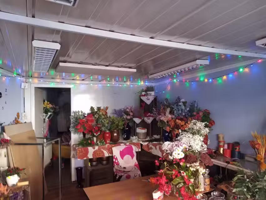 Flowers Family Małgorzata Smażych