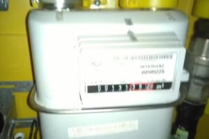 Galanthus Dorota Schubert-Skowrońska