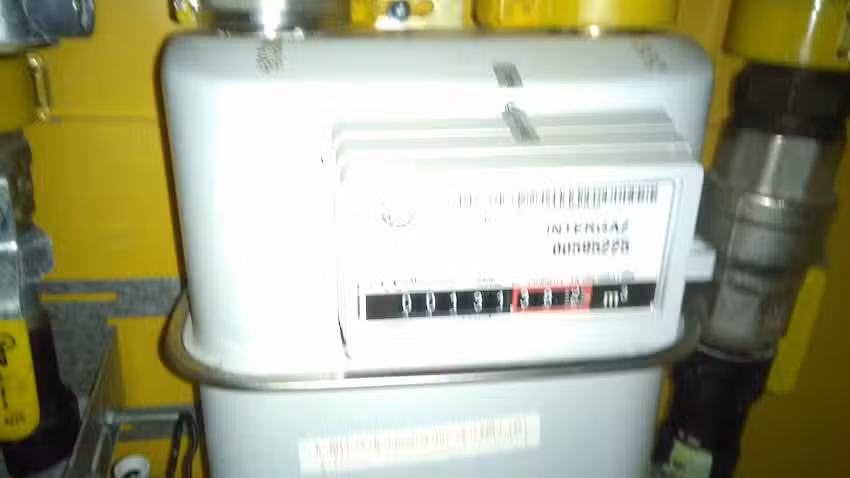 Galanthus Dorota Schubert-Skowrońska