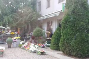 Galeryjka. Kwiaciarnia. Olejarz Łucja. Bukiety Kwiatowe