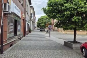 Gardenia. Kwiaciarnia. Leń J.