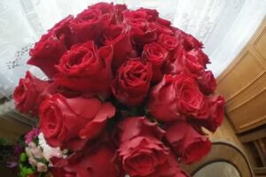 Gorczyca Irena. Kwiaciarnia