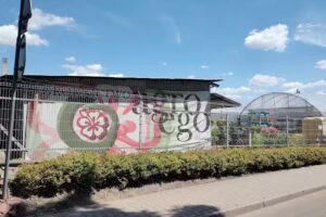 Gospodarstwo Ogrodnicze AGROEGO Zbigniew Broniek