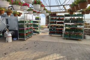 Gospodarstwo Ogrodnicze Gardoccy