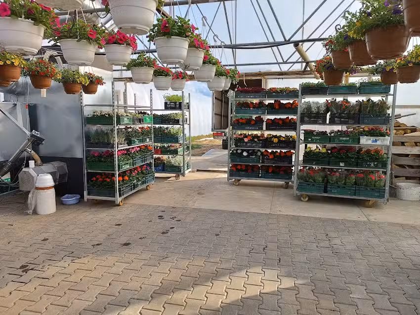 Gospodarstwo Ogrodnicze Gardoccy