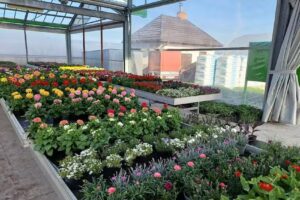 Gospodarstwo Ogrodnicze Kazimierz Karpiński