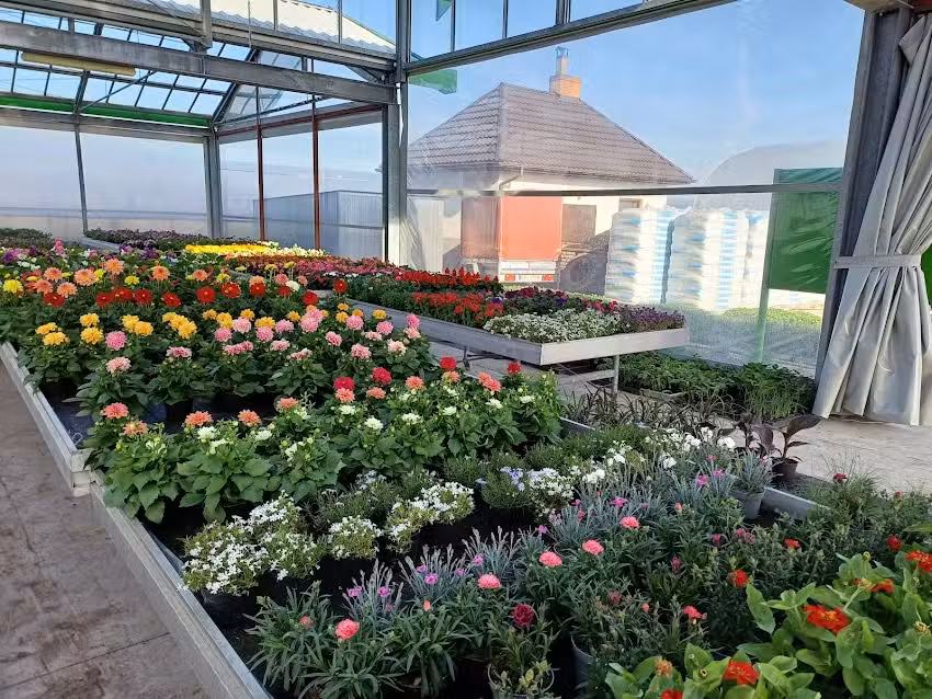 Gospodarstwo Ogrodnicze Kazimierz Karpiński