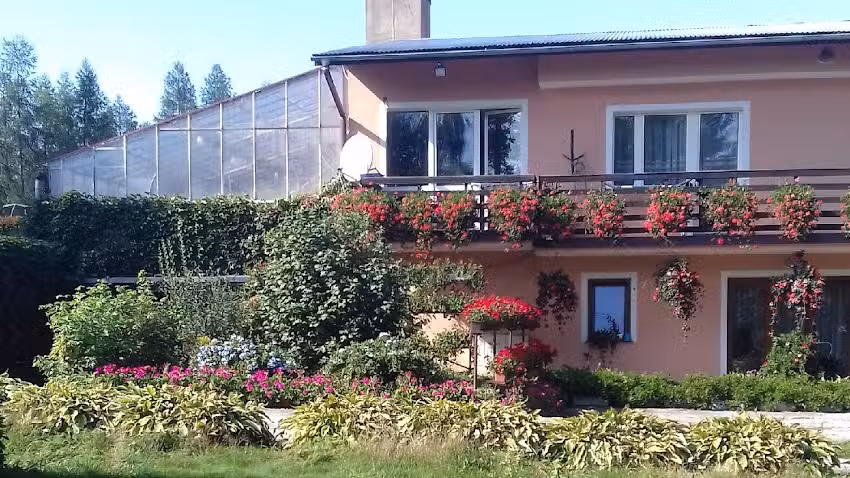 Gospodarstwo ogrodnicze Kwiaty