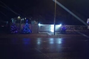 Gospodarstwo Ogrodnicze Marcin Antczak