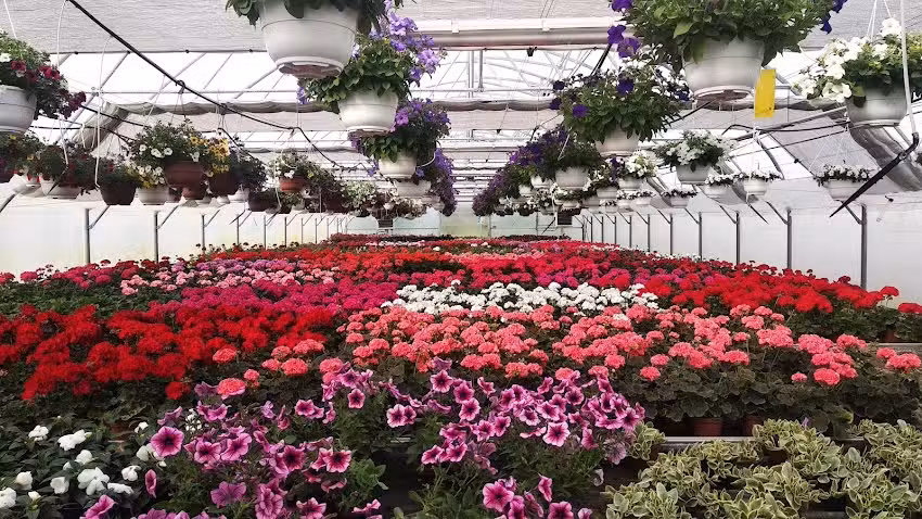 Gospodarstwo Ogrodnicze Mierzejewscy