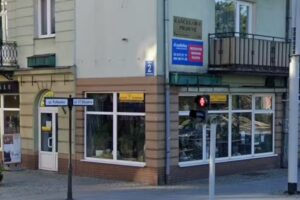 Goździk. Kwiaciarnia