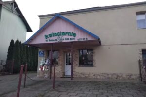 Heinze Dorota. Kwiaciarnia