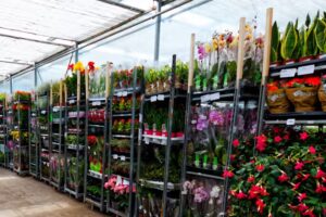 Hurtownia kwiatów Kama