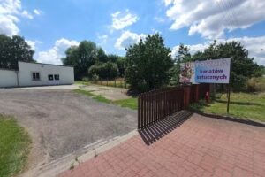 Hurtownia Kwiatów Sztucznych Gorzów