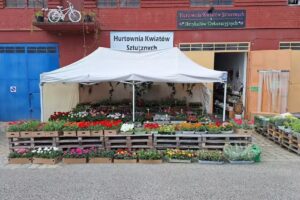 Hurtownia Kwiatów Sztucznych „Jarecki”