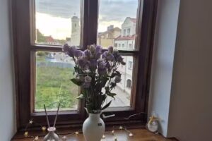 Ismena-Hurtownia kwiatów i roślin Marczak Konrad