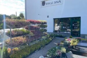 IWA Nagrobki i Kwiaty