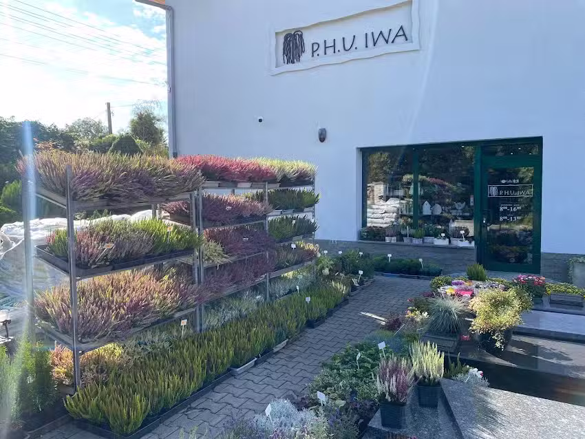 IWA Nagrobki i Kwiaty