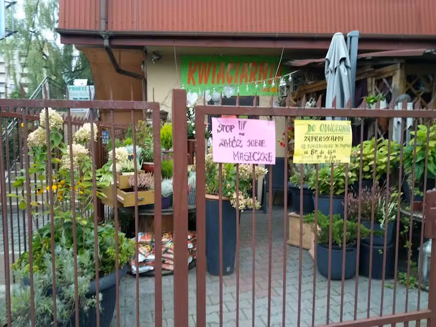 Jagoda-2. Kwiaciarnia. Piechówka J.