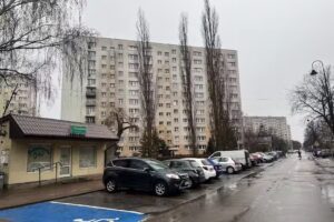 Jaś. Kwiaciarnia. Sławińska D.