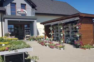 Jochymek Galeria Kwiatów Storczyk