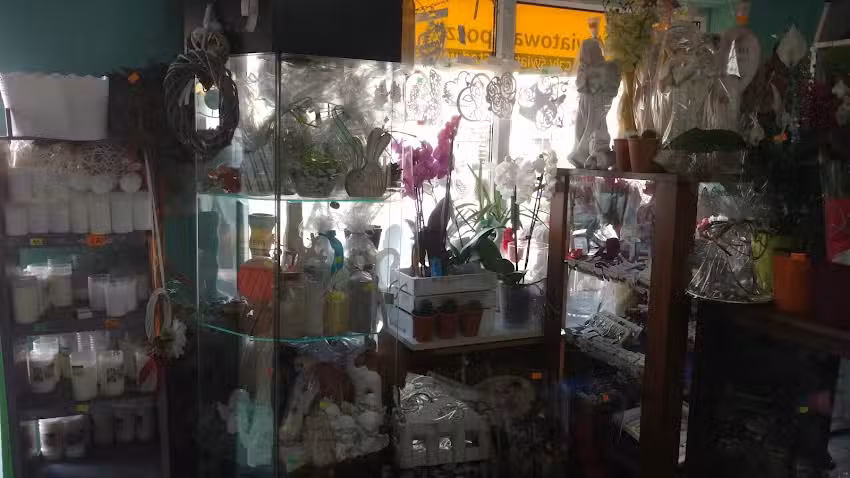 Kaktus. Art. przemysłowe i kwiaty. Kapciak K.