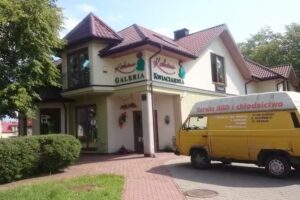 Kaktus. Kwiaciarnia. Szabłowska A.