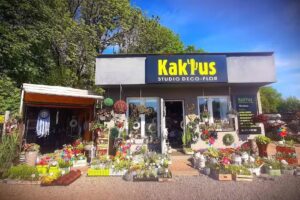 Kaktus Studio Deco-Flor