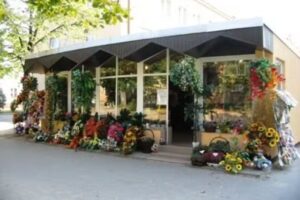 Kaktusik. Kwiaciarnia