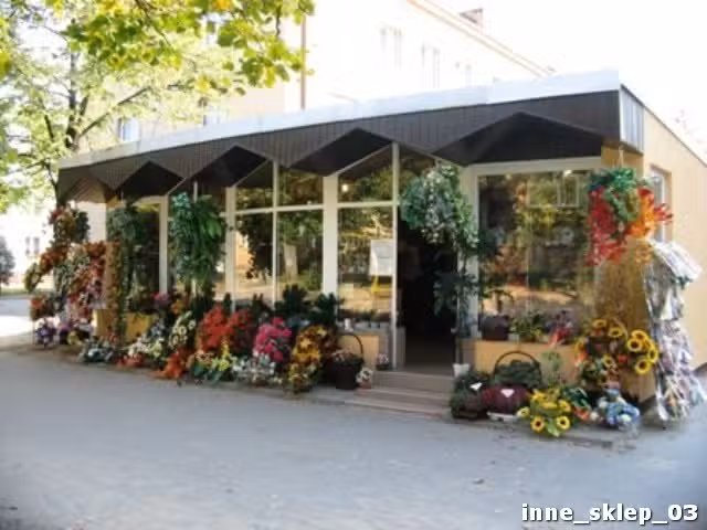 Kaktusik. Kwiaciarnia