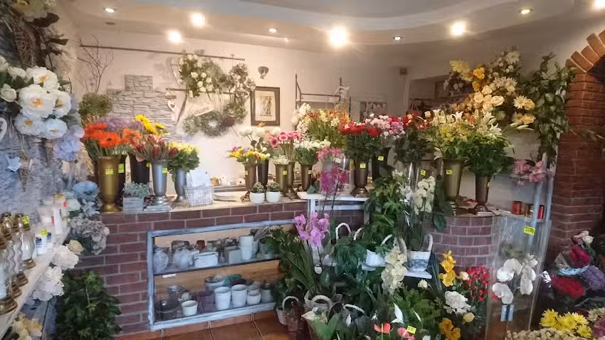 Kalina. Kwiaciarnia. Kóska E.