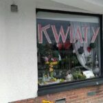 Kamelia. Kwiaciarnia