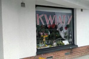 Kamelia. Kwiaciarnia