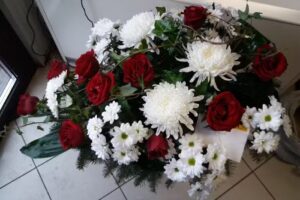 Kamelia. Kwiaciarnia. Mączyńska A.