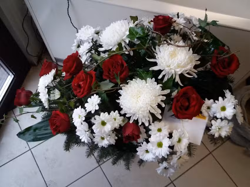 Kamelia. Kwiaciarnia. Mączyńska A.