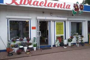 Kamelia. Kwiaciarnia. Szczepaniak S.
