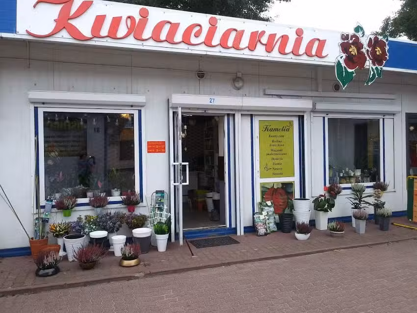 Kamelia. Kwiaciarnia. Szczepaniak S.