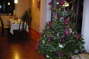 KATARZYNA KAJURA KWIATY