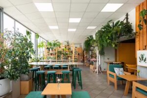 Kawa Kwiaty i Warsztaty